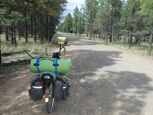 GDMBR:  Rear View of our bike, the Bee (a da Vinci Tandem).